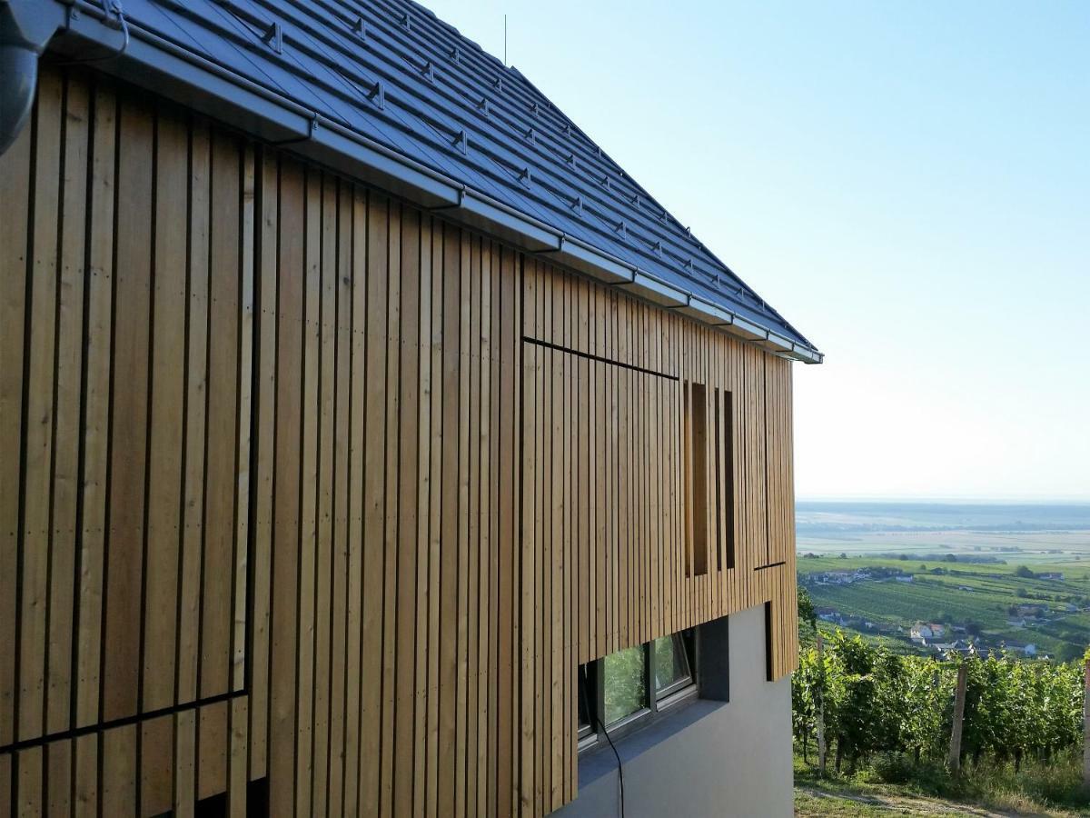 Eisenberg an der Pinka Weinlofts Weinloft II 빌라 외부 사진