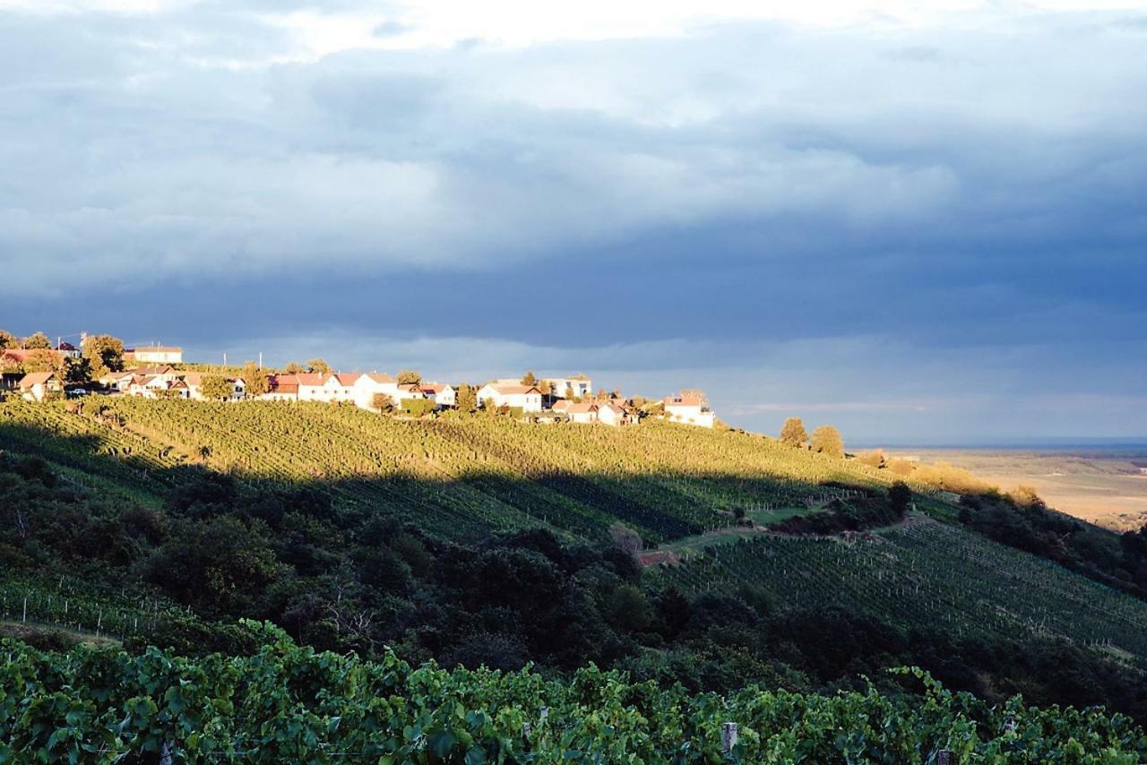 Eisenberg an der Pinka Weinlofts Weinloft II 빌라 외부 사진