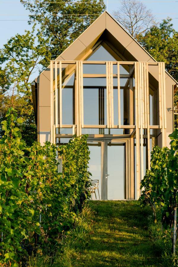 Eisenberg an der Pinka Weinlofts Weinloft II 빌라 외부 사진