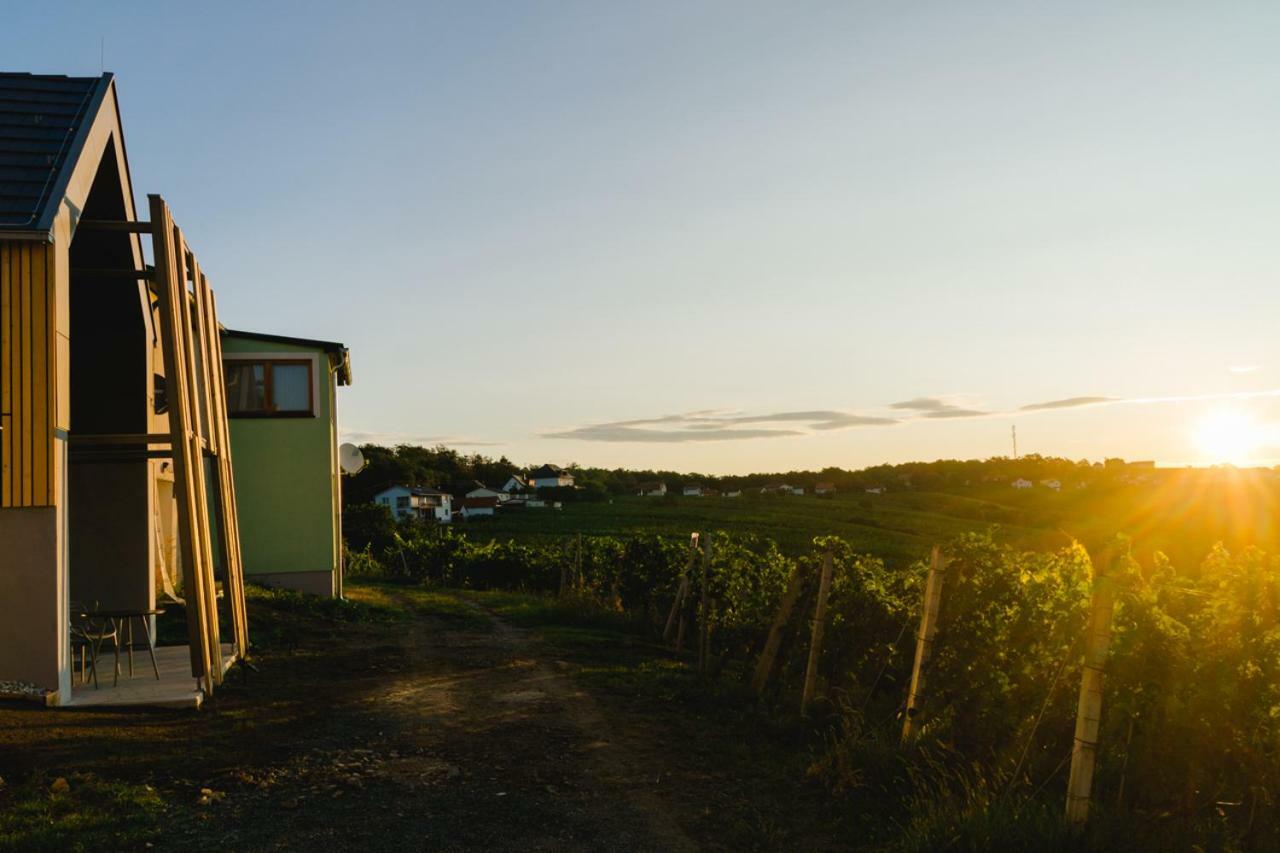 Eisenberg an der Pinka Weinlofts Weinloft II 빌라 외부 사진